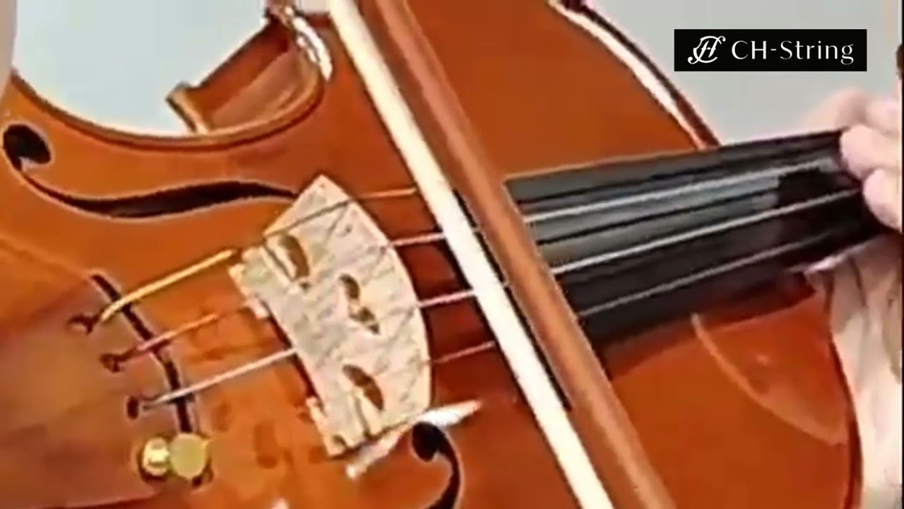 動画を読み込む: 